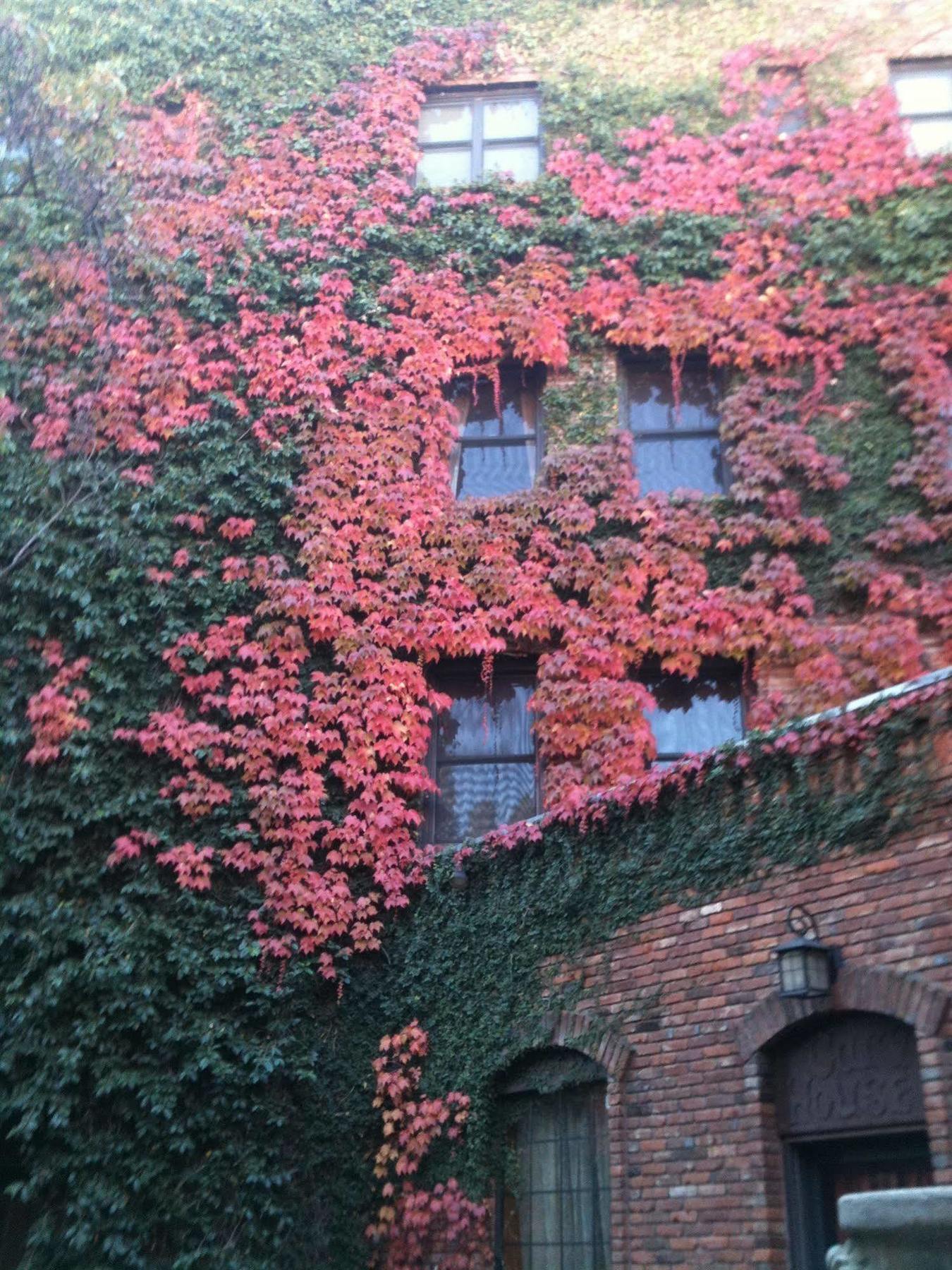 Historic Cary House Hotel Placerville Exterior foto